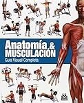 Guía completa de productos imprescindibles para tu gimnasio: Análisis y comparativa