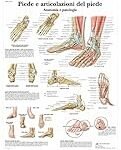 Análisis de los Mejores Aparatos para Ejercicios de Femoral Unilateral de Pie en el Gimnasio: Comparativa de Productos Destacados